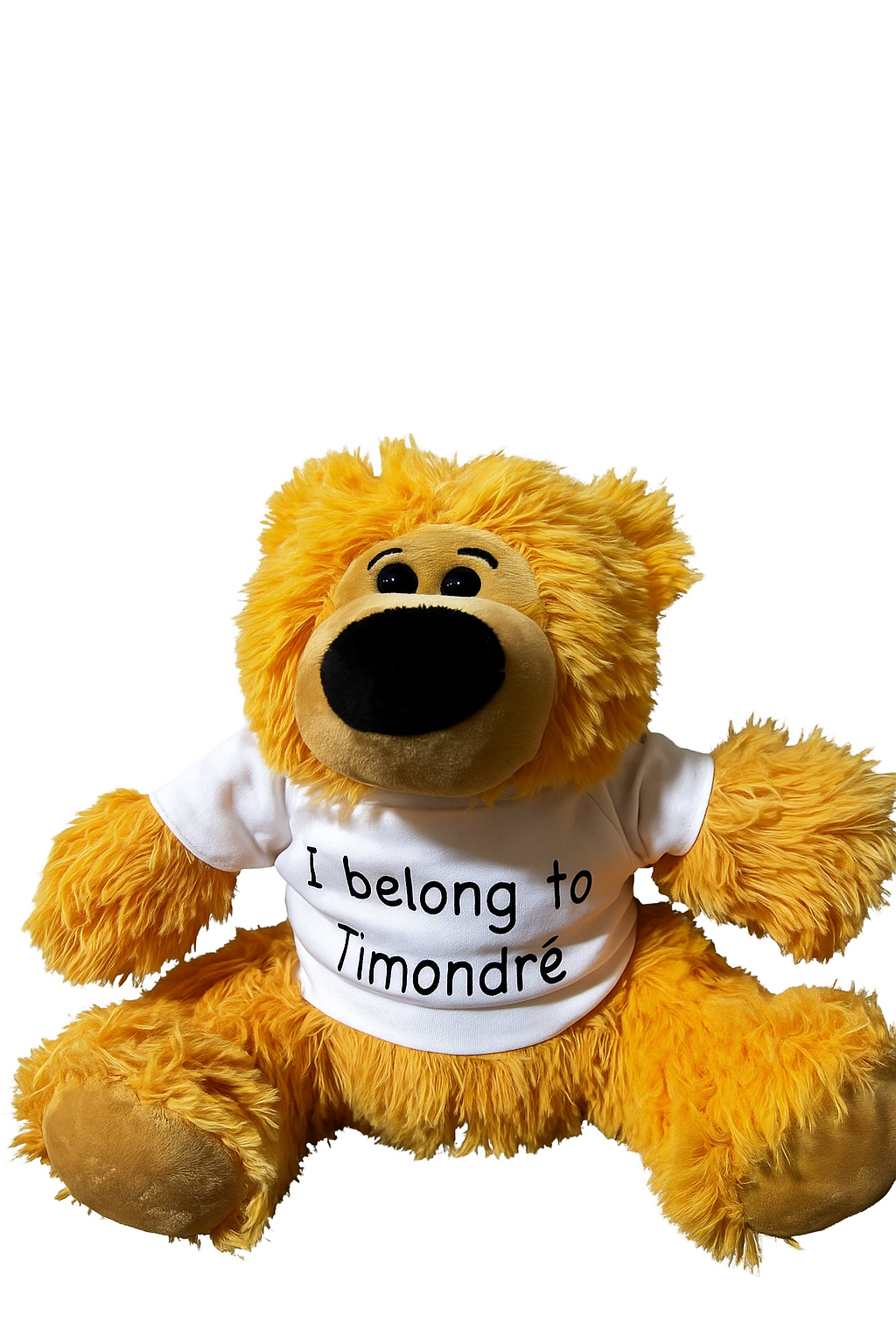 Personalised Mini Printable Shirt with Brown Teddy Bear - Image 2